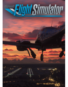 Microsoft Flight Simulator